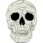 Illustration vectorielle du crâne humain