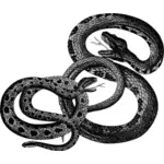Vintage slangen