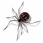 Spinne mit roten Flecken