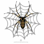 Het insect van het spinnenweb