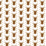 クモのシームレスなパターン壁紙
