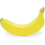Фотореалистичные отдельных банан векторное изображение