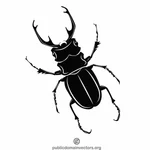 Escarabajo ciervo