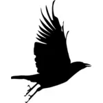 Corbeau vole jusqu'à l'image vectorielle silhouette