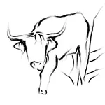 Drawn bull