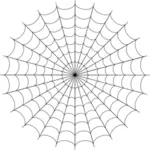 Imagen del web de araña