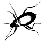 Immagine monocromatica di un bug