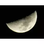 בתמונה וקטורית הירח