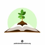 Tree growing on the book