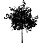 Silhouet vector illustraties van hoge boom