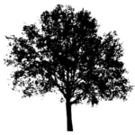 Silhouette vector graphics of vase tree top