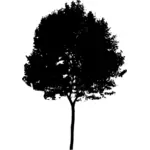 Siluet vektör yuvarlak ağaç tepesinde çizim