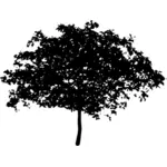 Silhouet vectorillustratie van verspreiding van boom boven
