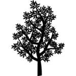 Schwarzer Baum silhouette