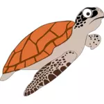 Encyclopedia turtle