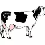 Vektorikuva lehmästä täynnä maitoa