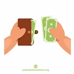 Bani în portofel