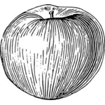 Grafik czarno-białe jabłko wektor clipart