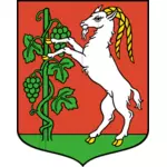 Vetor desenho do brasão de armas da cidade de Lublin
