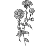גרפיקה וקטורית פרח שחור-לבן