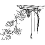 Виноградной лозы с ее листья векторные картинки