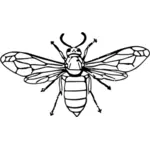 Ilustração de vespa