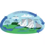 Water cycle vector illustration