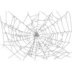 逼真的蜘蛛网