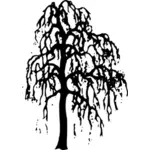 Ива дерево векторное изображение