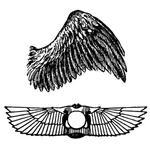 Wings vector graphics