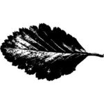 Grafika wektorowa zakręcie kształcie liścia