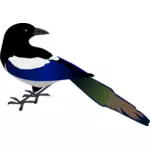 Skjære fuglen vektor image