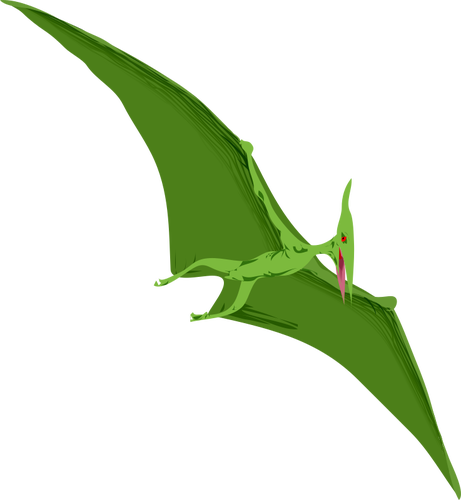 Vector drawing of reptile in flight