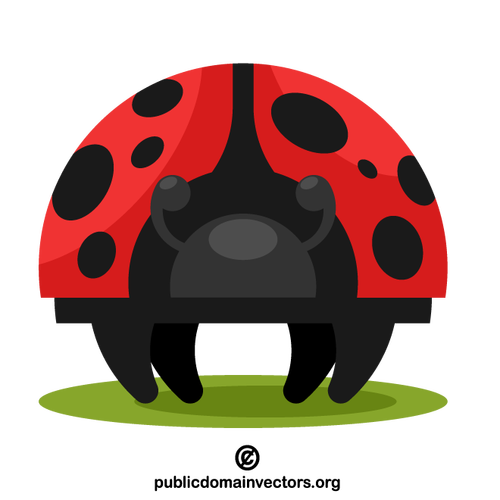 Ladybug insect illustration