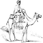 Drawing of desert animal and male rider