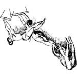 Illustrazione vettoriale di schizzo a matita di trapezisti esecuzione