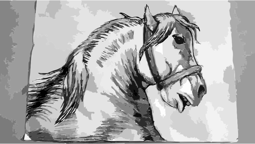 Horse sketch