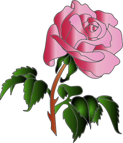 Векторное изображение розовая роза с большим количеством листьев