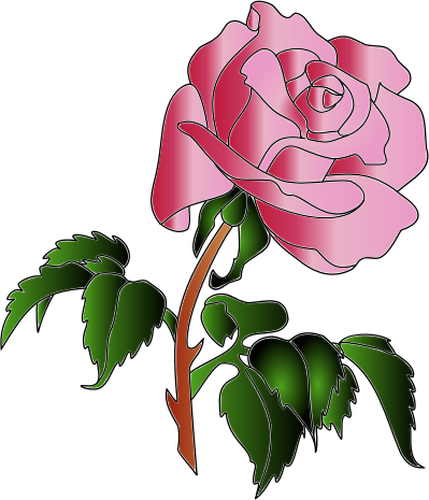 Vector image of pink rose with lots of leaves