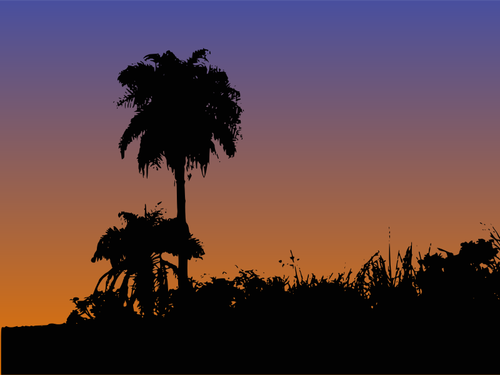 Palm trees silhouette vector drawing