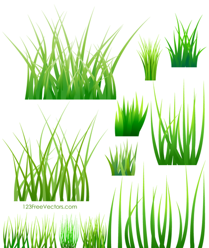 Download Samples of green grass | Public domain vectors