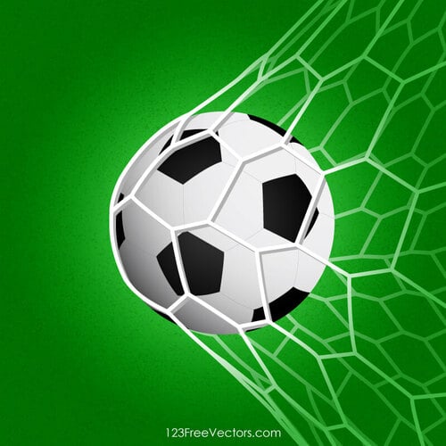 Soccer Ball in The Net