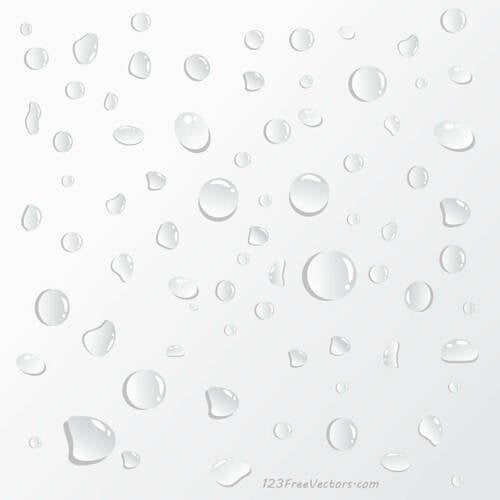 Water Drops on White Background