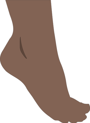 Immagine di vettore del piede umano