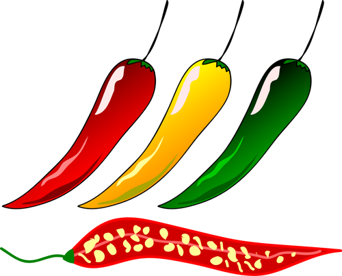 Chilli pepper