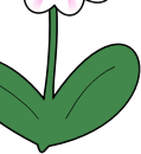 Vektorgrafiken von Daisy mit lange grüne Blätter