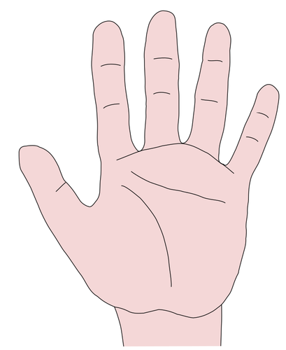 Hand palm