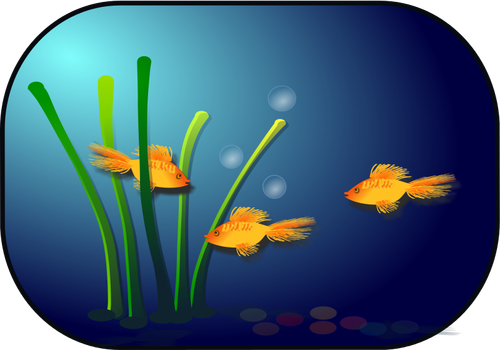 Aquarium vector image