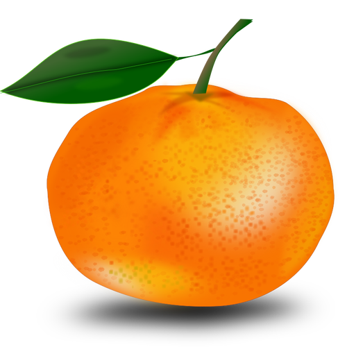 オレンジと葉