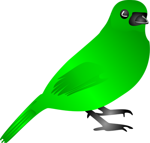 绿色的小鸟矢量绘图